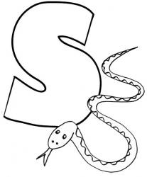serpent-1.jpg